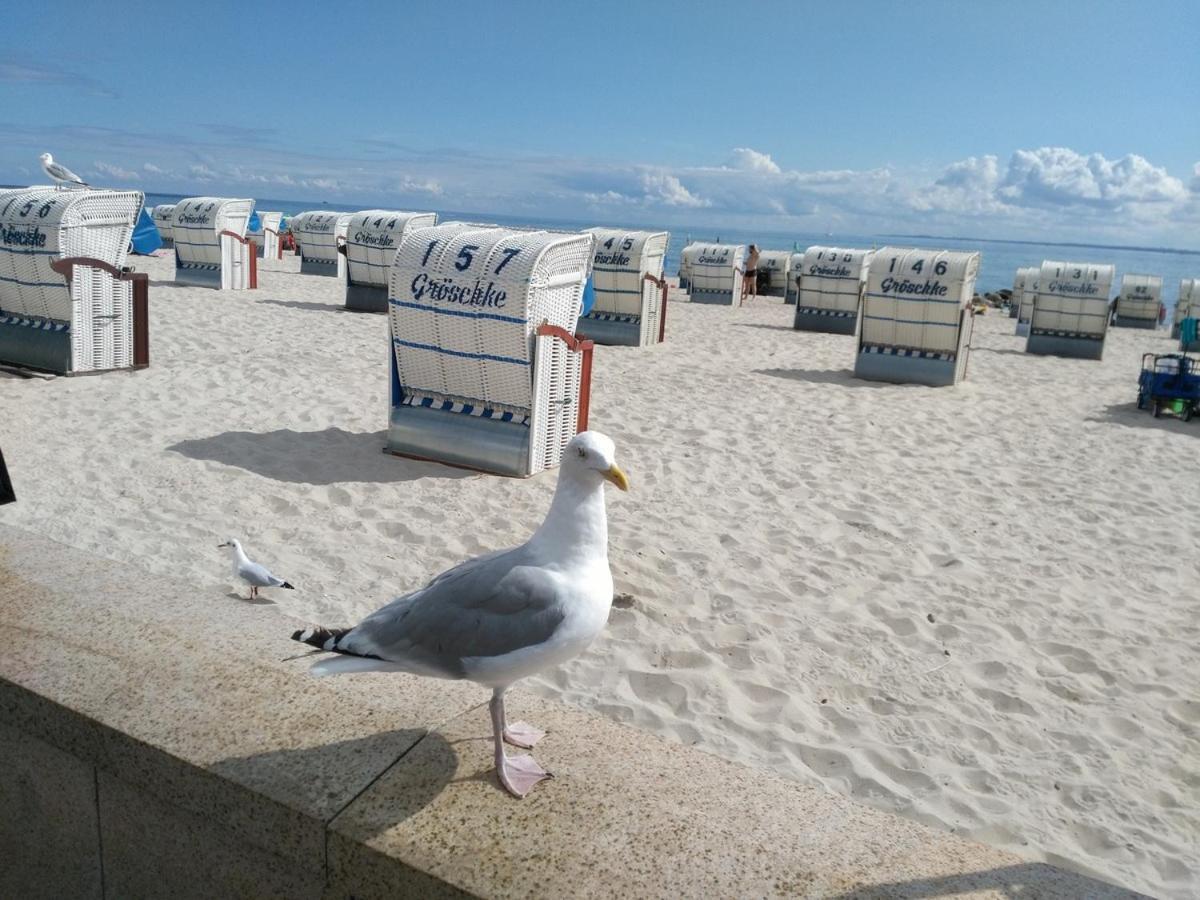 Ostsee Fewo By Wolf Grömitz Extérieur photo